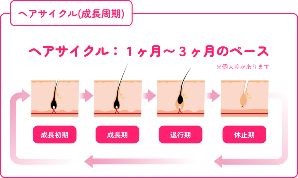 医療脱毛 5回 終わらない ヘアサイクル